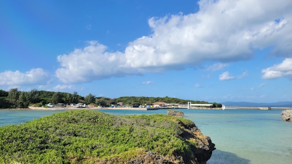 ゼブラウツボ | 島時間トピックス | 竹富町島じかん